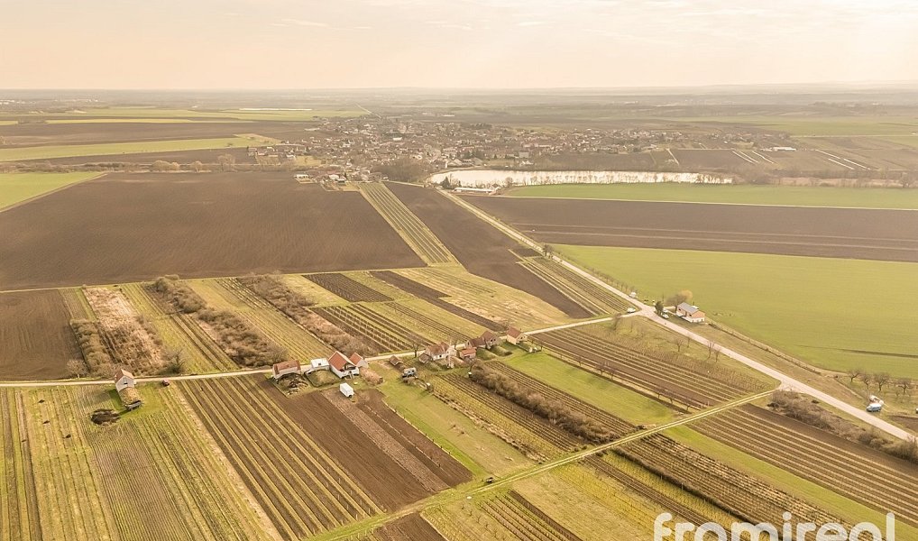 Prodej pole 2 781 m², Moravský Žižkov – náhled fotky 8