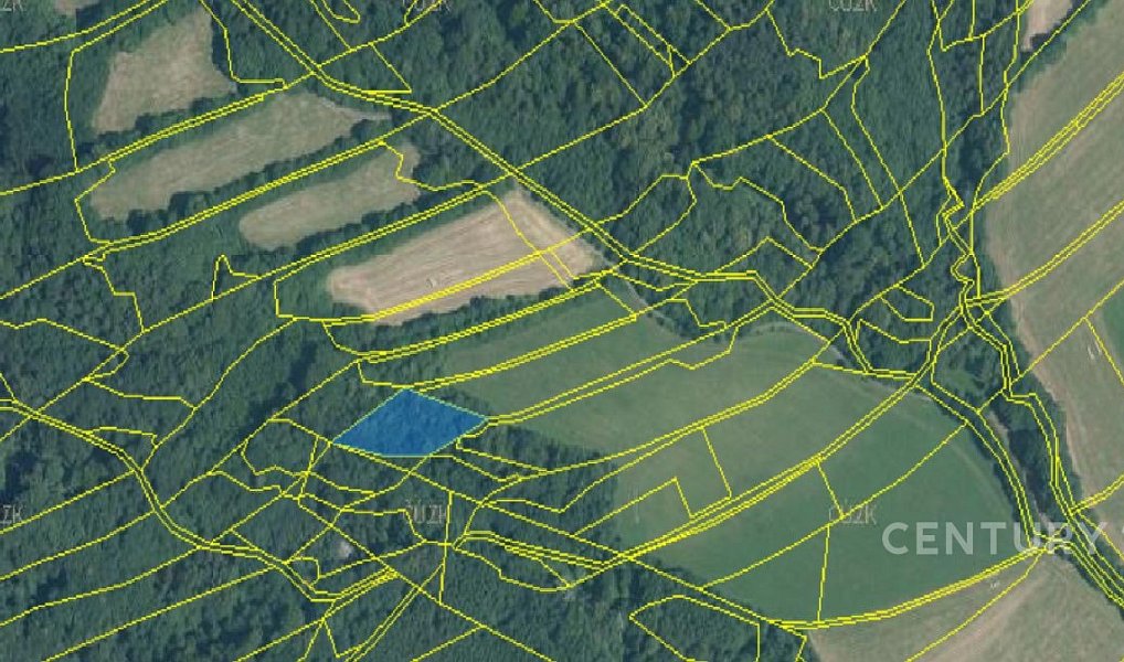 Prodej lesa 40 228 m², Nový Jičín – náhled fotky 11