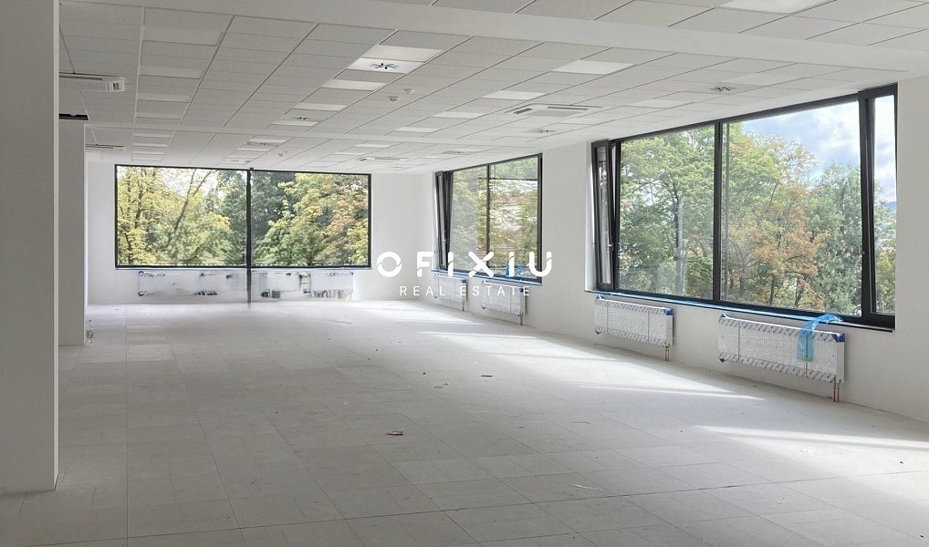 Pronájem kanceláře 613 m², Brno – náhled fotky 4