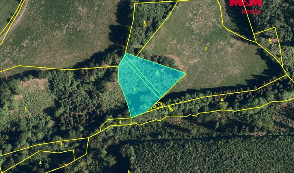 Prodej lesa 5 050 m², Hranice – náhled fotky 5