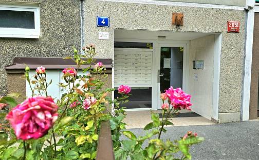Prodej bytu 1+kk 29 m², Samohelova, Praha 4 - Chodov