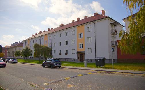 Prodej bytu 2+1 59 m², Na Libuši, Bechyně, okres Tábor