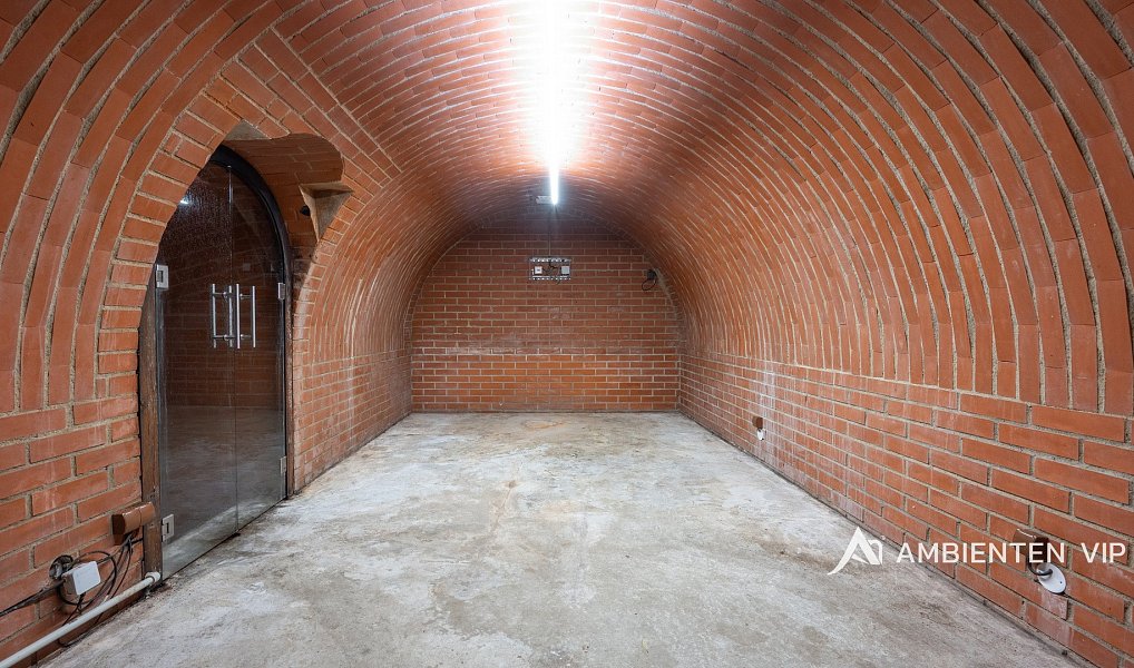 Prodej domu 382 m² s pozemkem 849 m², Moravany – náhled fotky 50