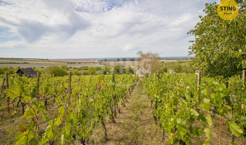 Prodej chaty/chalupy 42 m² s pozemkem 5 902 m², Strážnice – náhled fotky 14