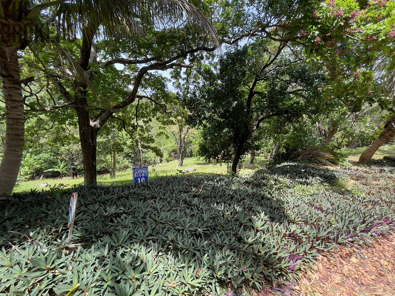 LOT 10 Bodden Bight Estate, Roatan – pohled 5