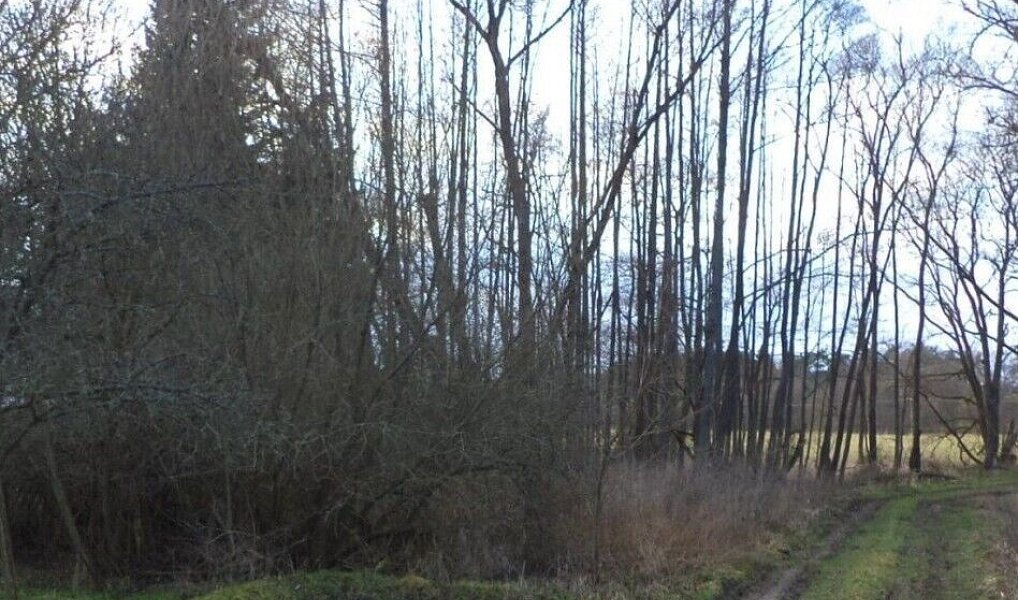 Prodej pozemku 5 244 m², Kočov – náhled fotky 5