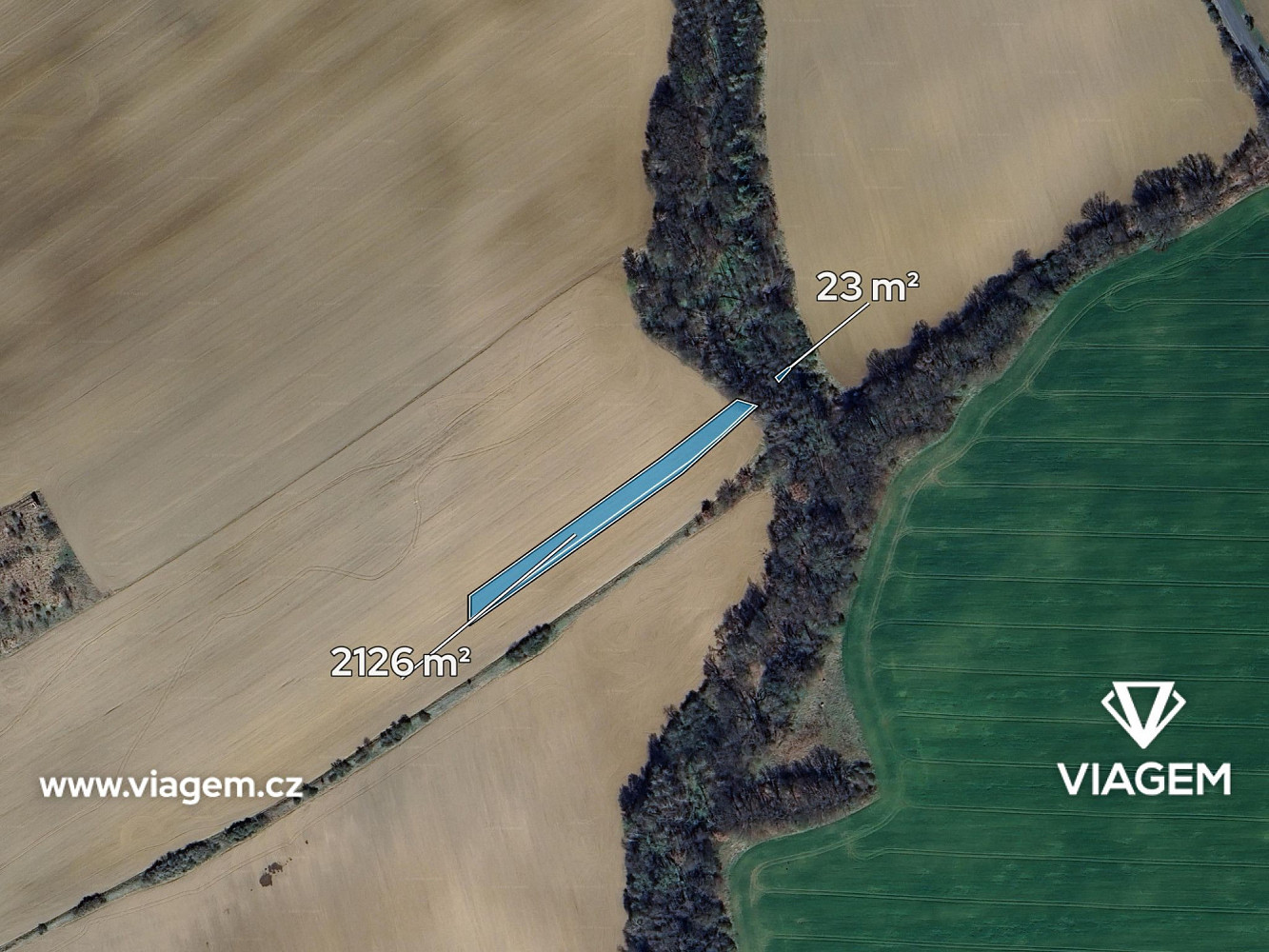 Prodej pole 2 149 m² – fotografie 2