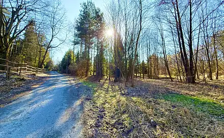 Prodej pole 2 300 m², Pod Zámkem, Chotěbuz, okres Karviná