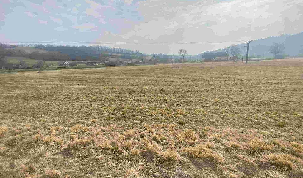 Prodej pozemku 15 629 m², Linhartice – náhled fotky 2