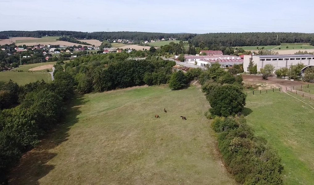 Prodej louky 6 229 m², Bojanovice – náhled fotky 12