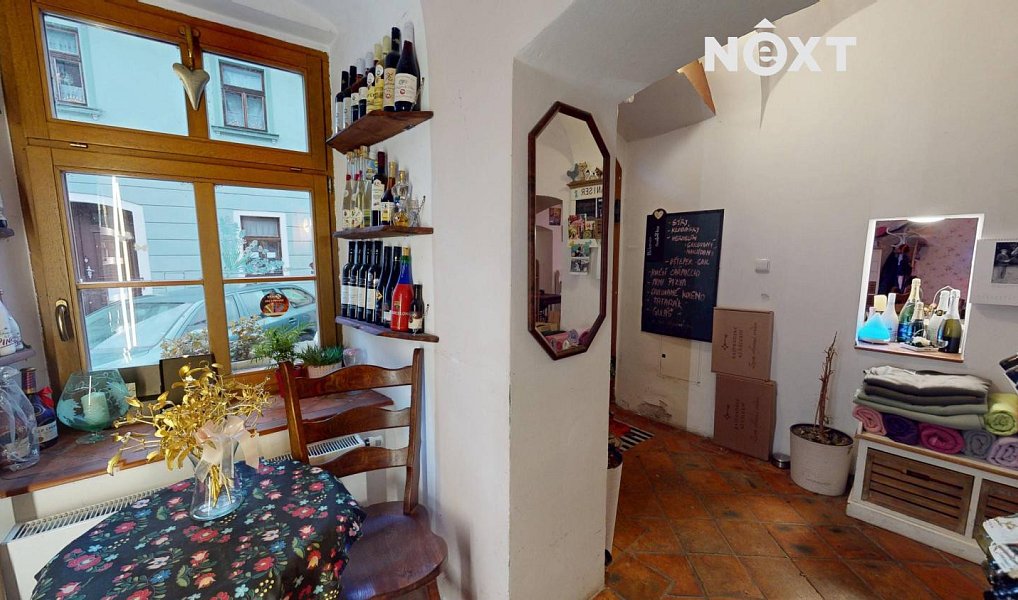 Prodej domu 296 m² s pozemkem 162 m², Kadaň – náhled fotky 13