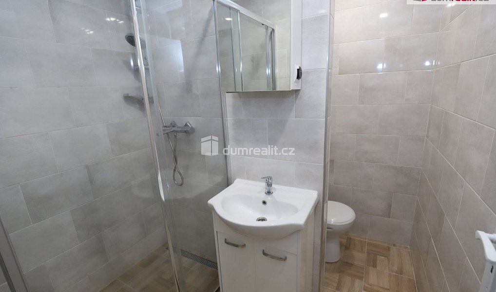 Prodej bytu 1+1 36 m², Horní Slavkov – náhled fotky 9