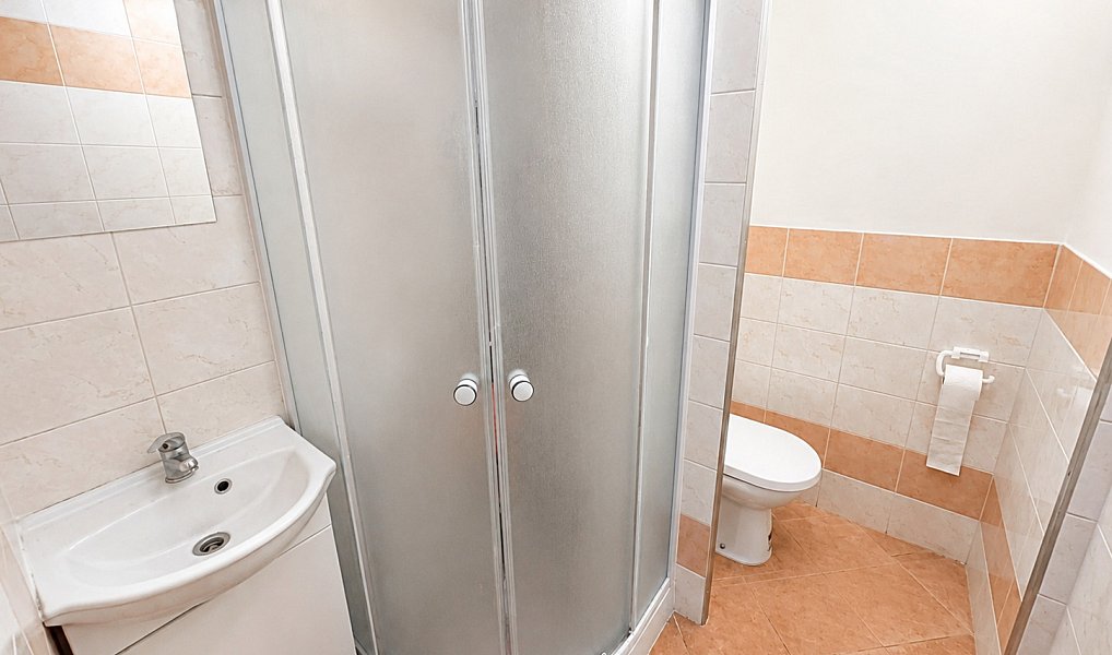 Prodej bytu 1+1 45 m², Brno – náhled fotky 7