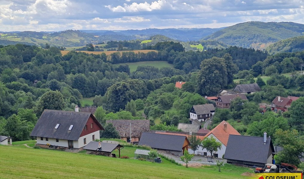 Prodej lesa 20 371 m², Dalečín – náhled fotky 2