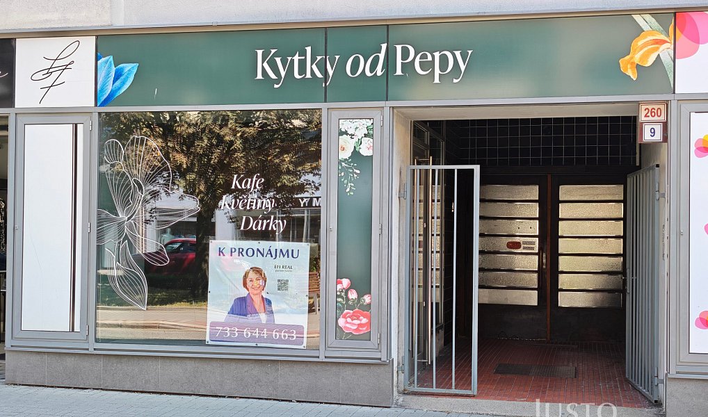 Pronájem obchodních prostor 37 m², Zábřeh – náhled fotky 8