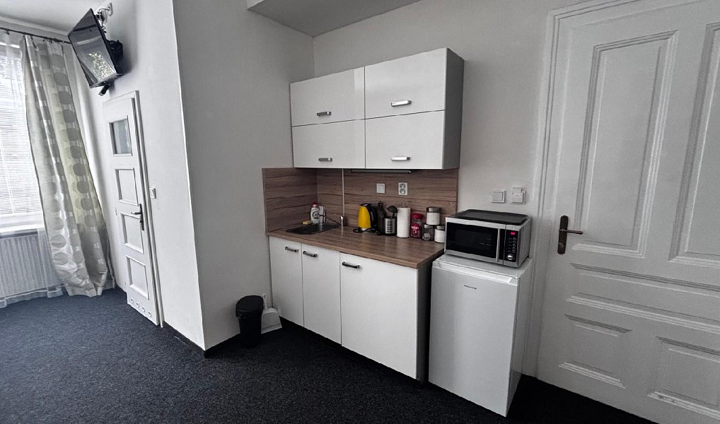 Pronájem bytu 1+kk 25 m², Ostrava – náhled fotky 10