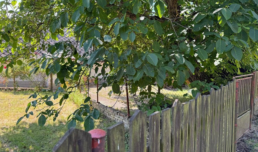 Prodej domu 73 m² s pozemkem 1 506 m², Svinaře – náhled fotky 13