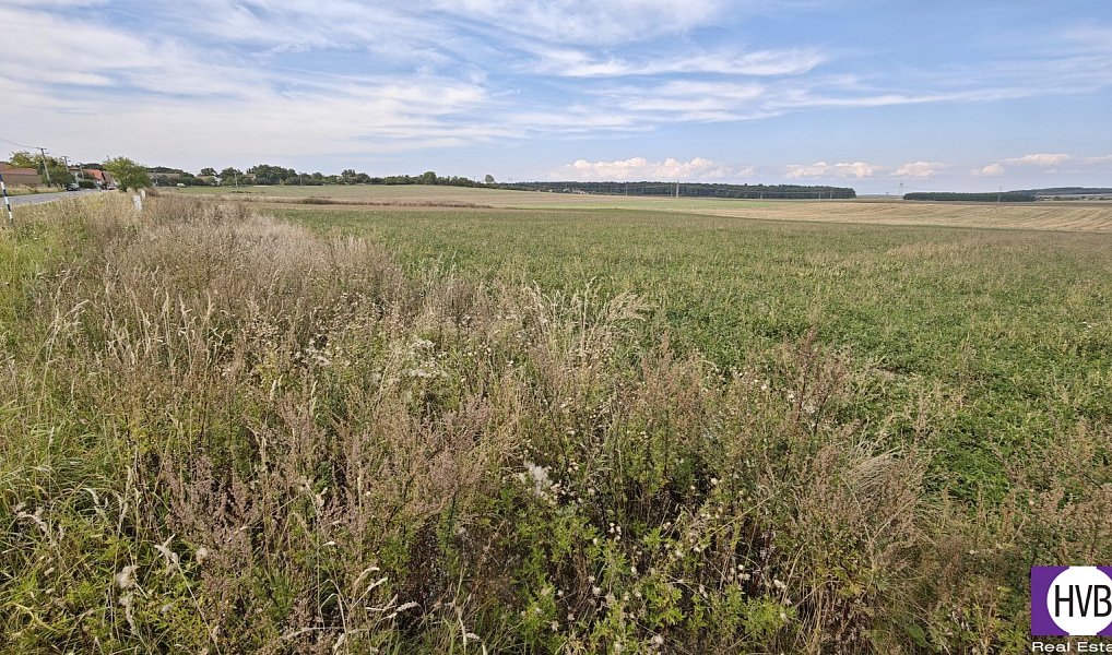 Prodej stavebního pozemku 3 767 m², Bělušice – náhled fotky 9