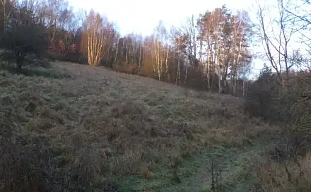 Dražba louky 2 887 m², Blíževedly