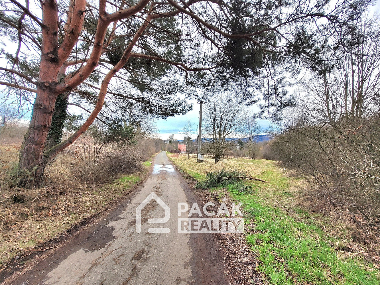 Prodej stavebního pozemku 2 896 m² – fotografie 2