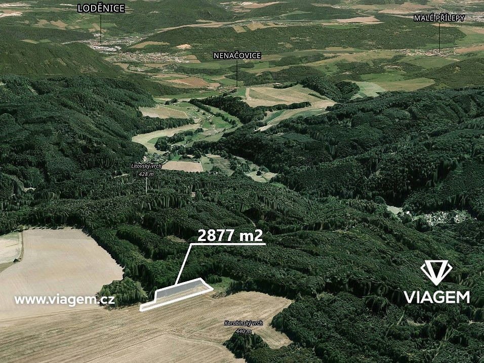 Prodej pole 2 877 m² – fotografie 4
