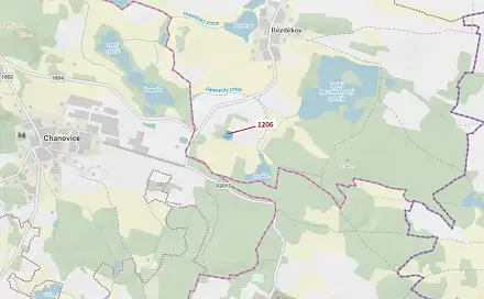 Dražba lesa 3 718 m², Chanovice