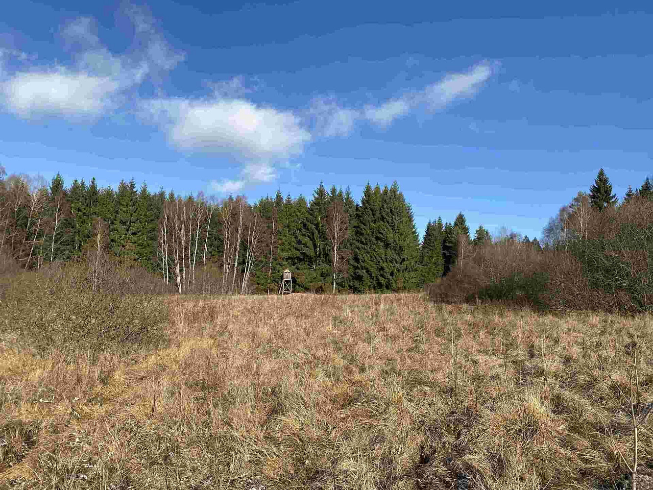 Prodej pole 16 994 m² – fotografie 2