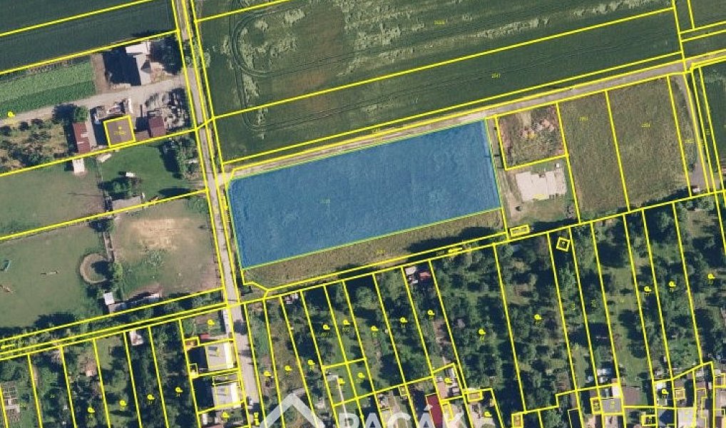 Prodej stavebního pozemku 5 516 m², Grygov – náhled fotky 4