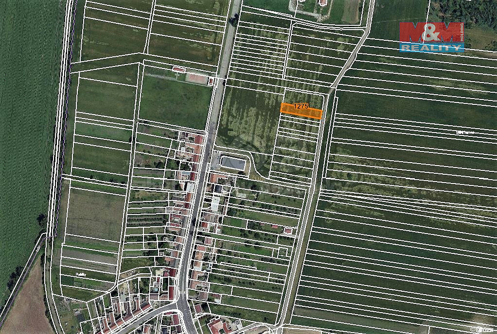 Prodej pole 81 m²