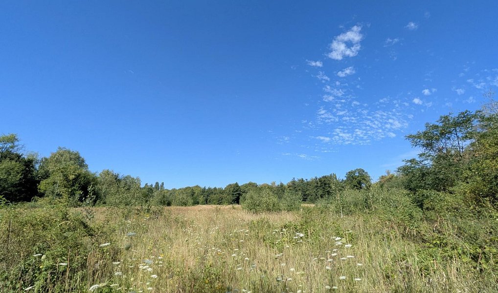 Prodej stavebního pozemku 890 m², Mariánské Radčice – náhled fotky 4