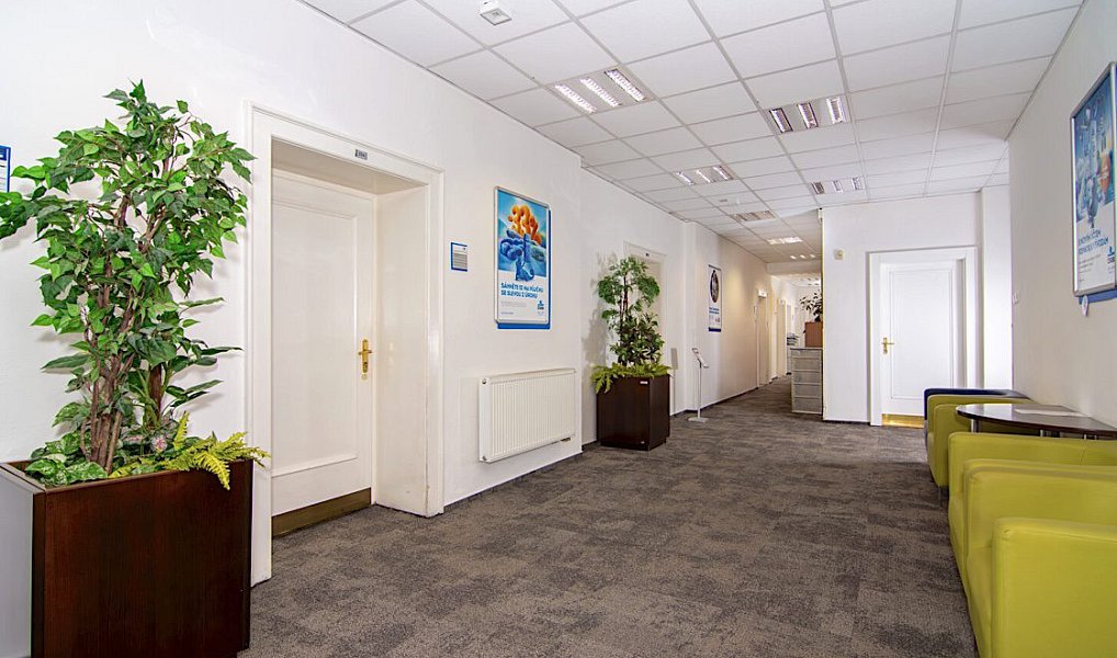 Pronájem obchodních prostor 365 m², Frýdek-Místek – náhled fotky 7