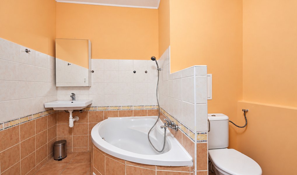Pronájem bytu 2+kk 42 m², Mladá Boleslav – náhled fotky 8