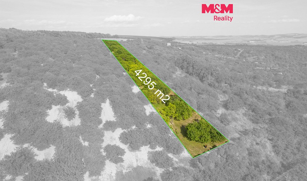 Prodej pozemku, 4295 m², Brno-venkov, Židlochovice