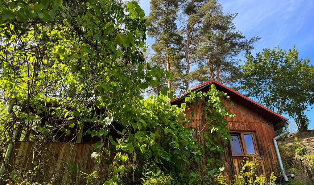 Prodej chaty/chalupy 48 m² s pozemkem 829 m², Kestřany – náhled fotky 10