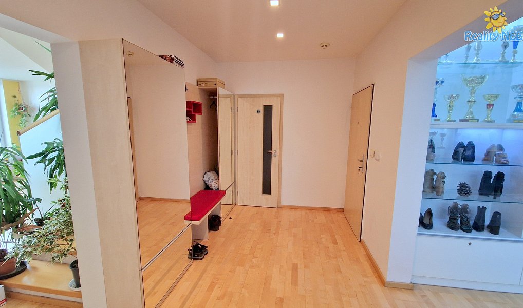 Prodej bytu 4+kk 446 m², Brno – náhled fotky 10