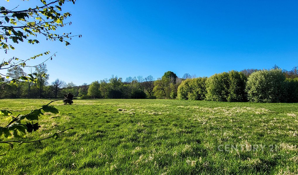 Prodej louky 59 956 m², Stružnice – náhled fotky 5