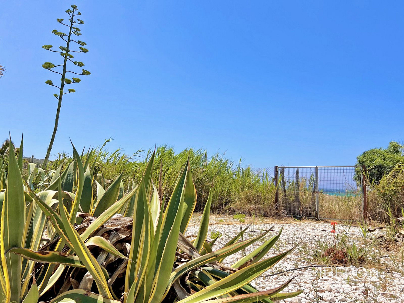 Casa 6+kk – Tarifa, 28 de Febrero, Campo de Gibraltar - Vista 5