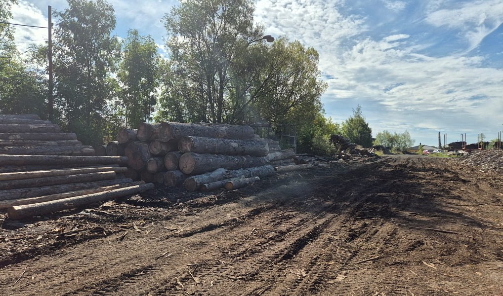Prodej komerčního pozemku 28 305 m², Velká Hleďsebe – náhled fotky 6