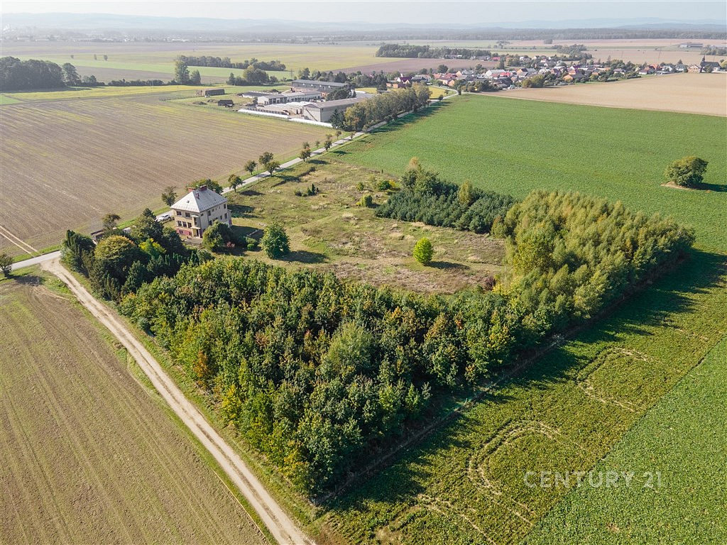 Prodej stavebního pozemku 1 123 m² - View 6