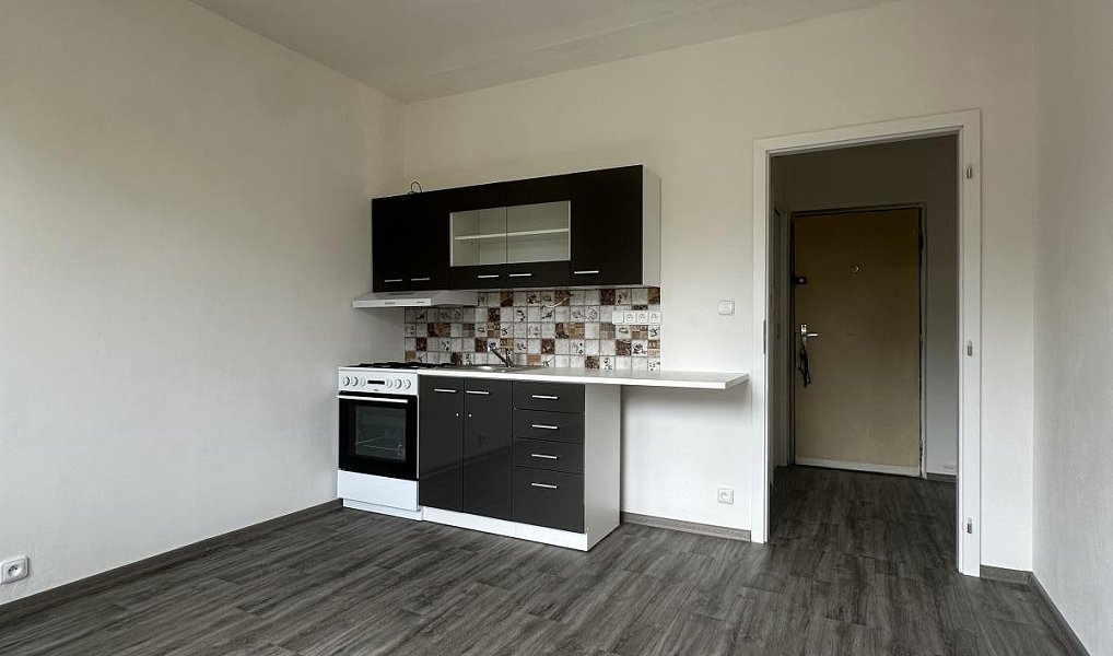 Pronájem bytu 1+1 36 m², Duchcov – náhled fotky 3