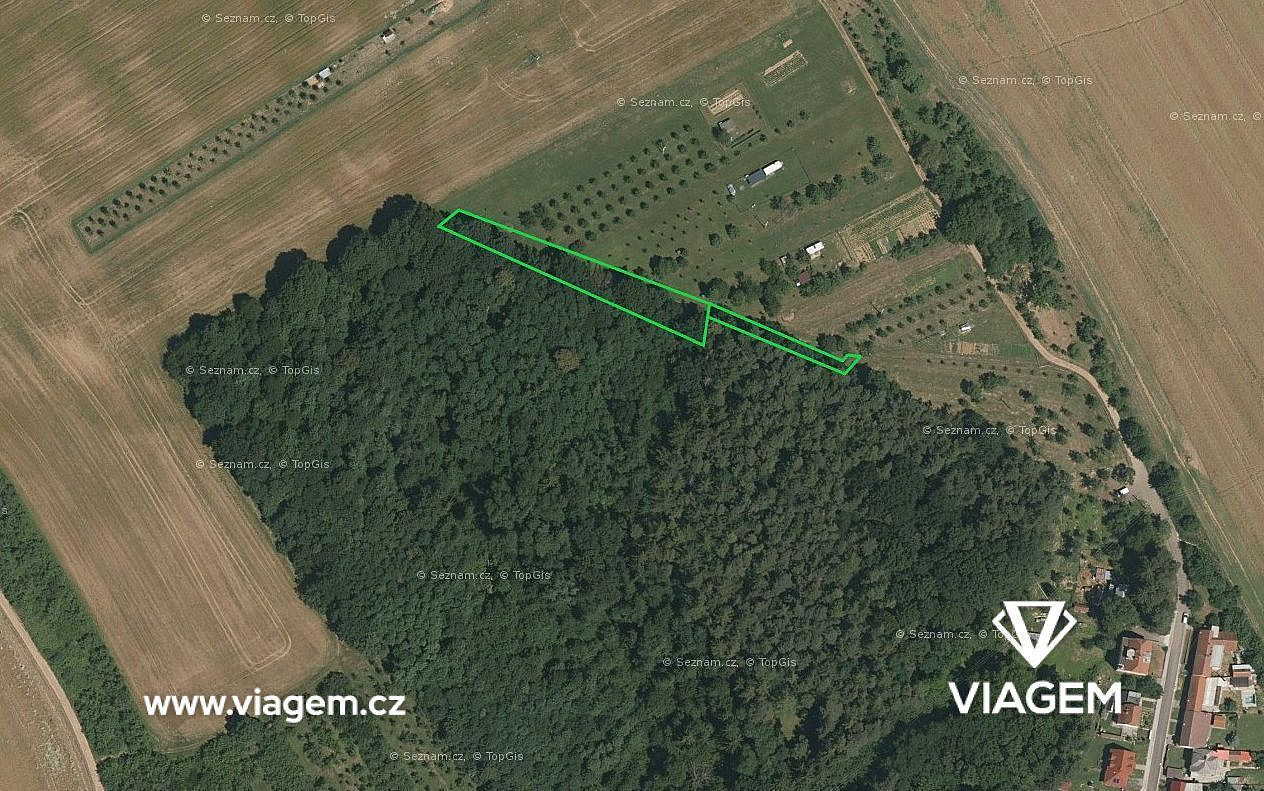 Prodej lesa 446 m²