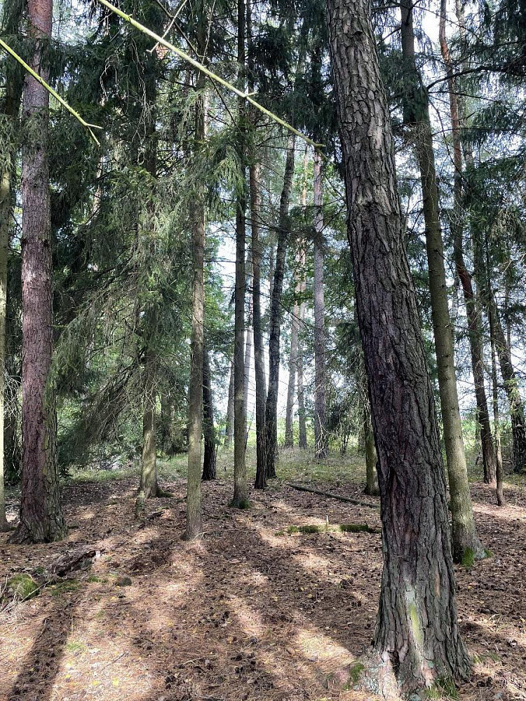 Prodej pozemku 3 510 m² – fotografie 2