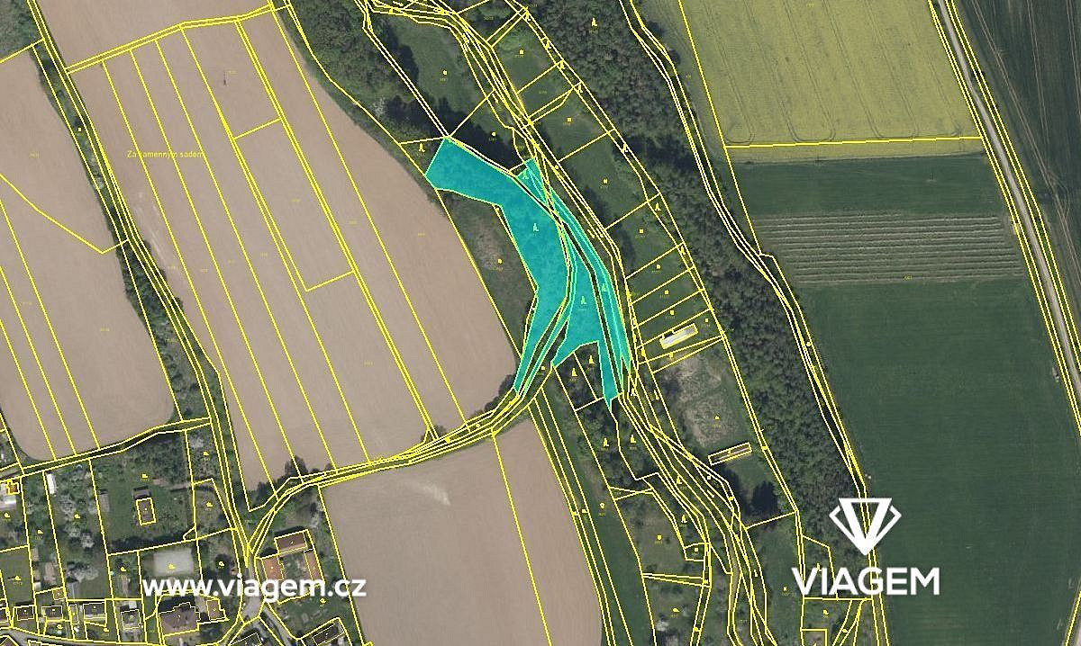 Prodej lesa 586 m²