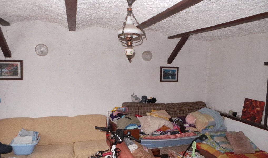 Prodej domu 478 m² s pozemkem 1 795 m², Žiželice – náhled fotky 8