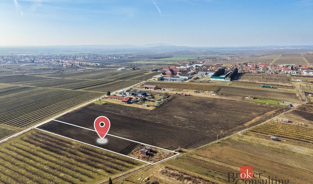 Prodej pozemku 2 791 m², Velké Bílovice – náhled fotky 10