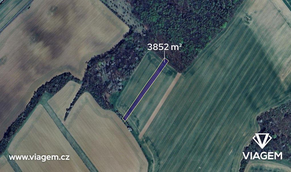 Prodej pole 361 m², Soběsuky – náhled fotky 2