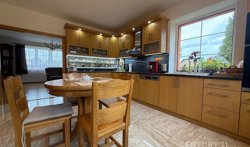 Prodej domu 275 m² s pozemkem 3 605 m², Roudnice nad Labem – náhled fotky 4