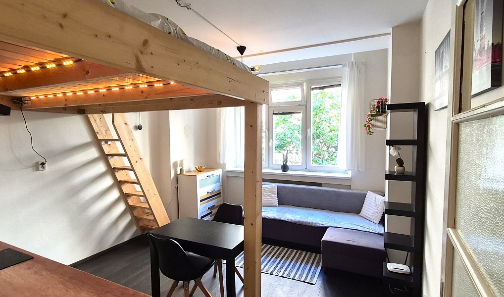 Prodej bytu 1+kk 20 m², Praha – náhled fotky 3