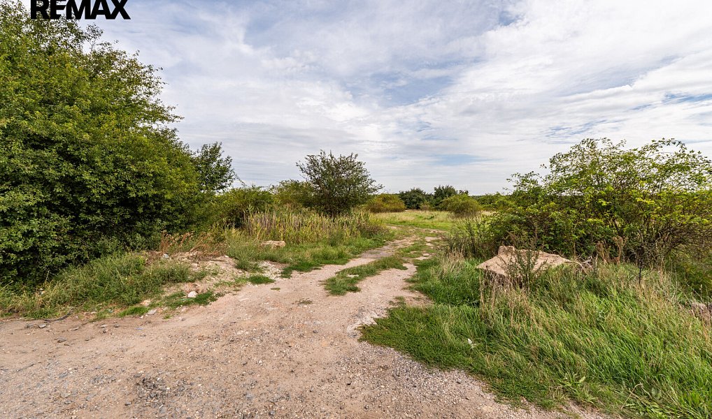Prodej pozemku 1 964 m², Poděbrady – náhled fotky 6