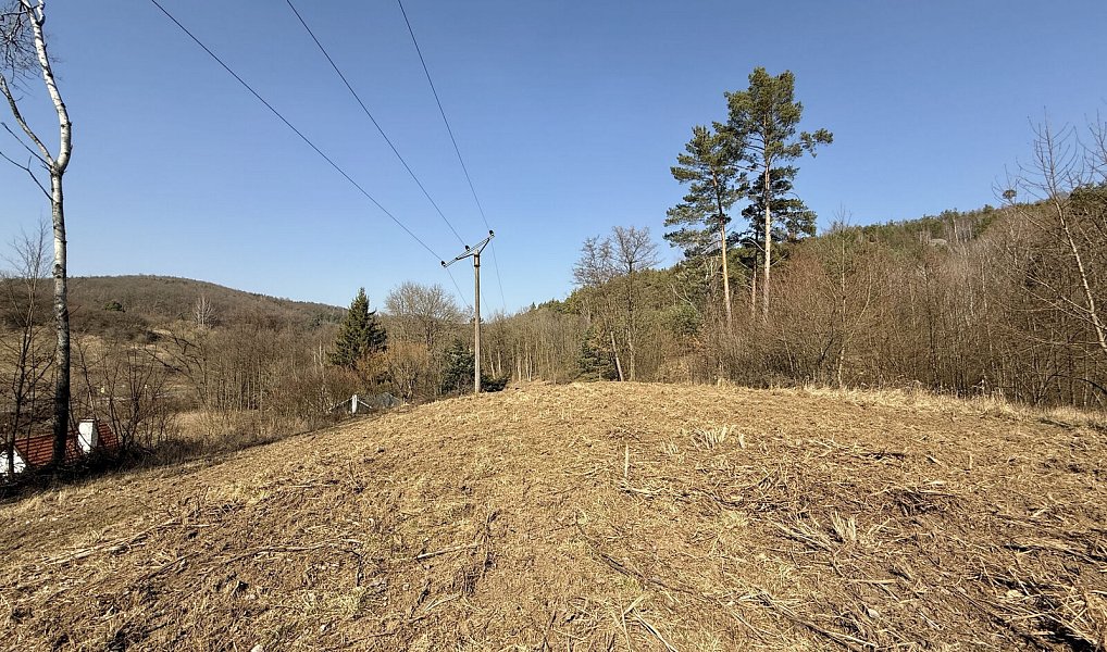 Prodej zahrady 6 644 m², Medonosy – náhled fotky 4